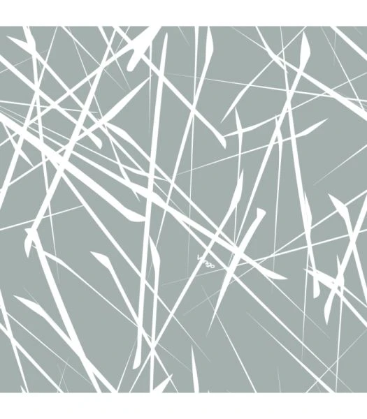 Vango Braemar II 300 SkyLiner - Image 2